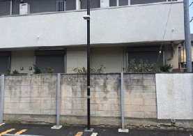 植木屋が渋谷区で雪で倒れた植木（キンモクセイ、カイズカイブキ）を剪定して綺麗になった様子